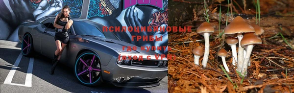гашиш Балахна