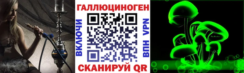 Купить где  Почеп  Галлюциногенные грибы GOLDEN TEACHER 